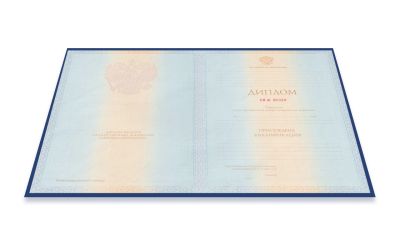 Диплом бакалавра 1997-2003